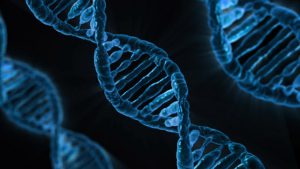 Genetische Ressourcen